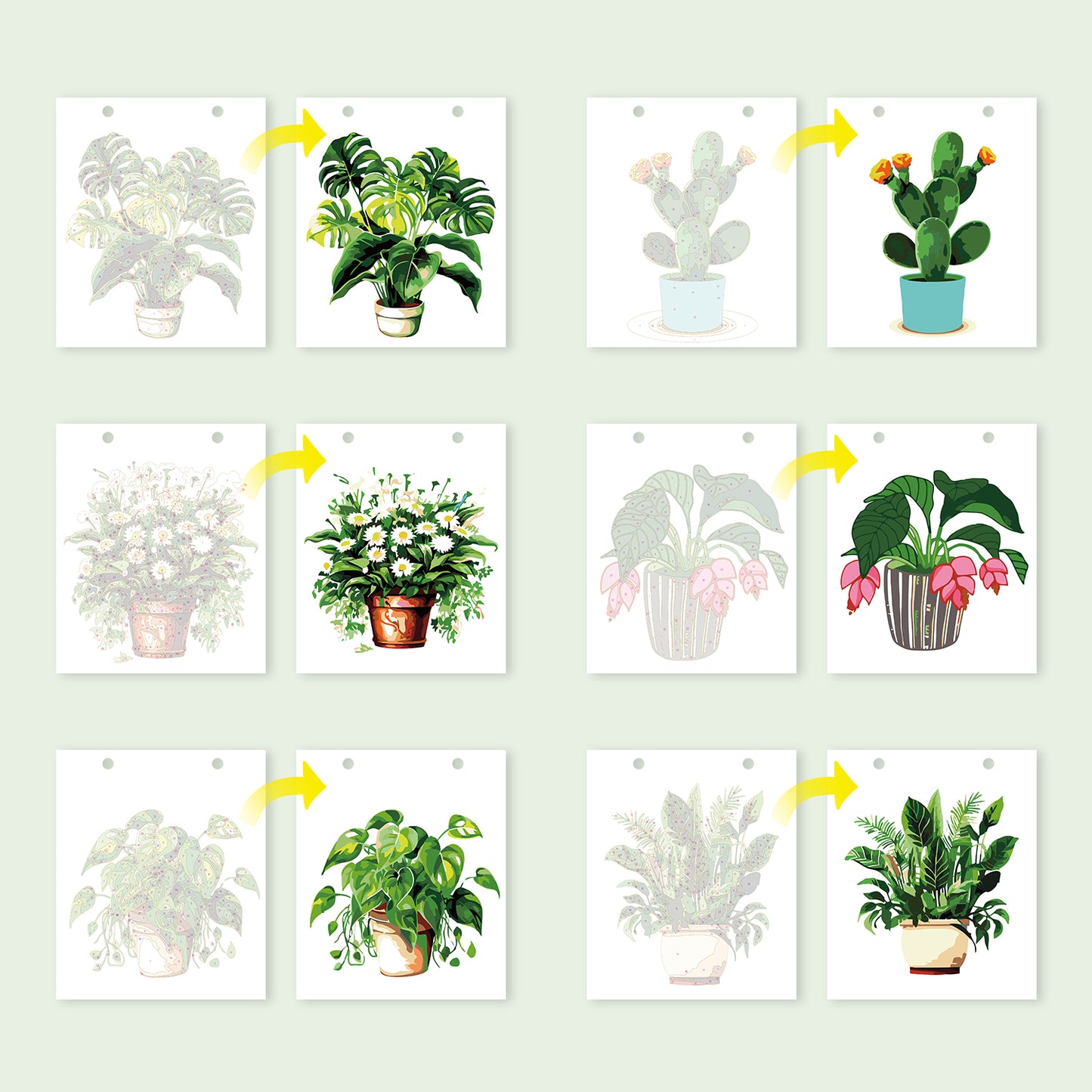 植物-2027年ぬり絵カレンダー