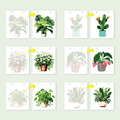 植物-2027年ぬり絵カレンダー