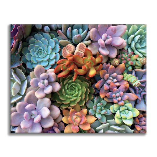 多肉植物 - 数字で塗り絵