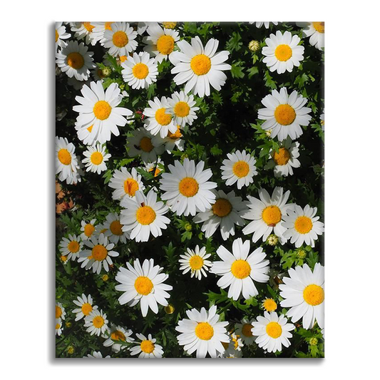 デイジークラスター自然壁画 - 数字で塗り絵