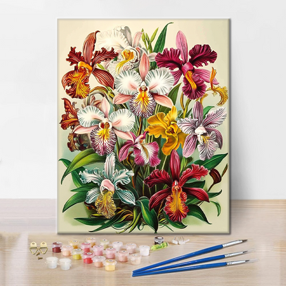 オーキデ・レガリ - 数字で塗り絵