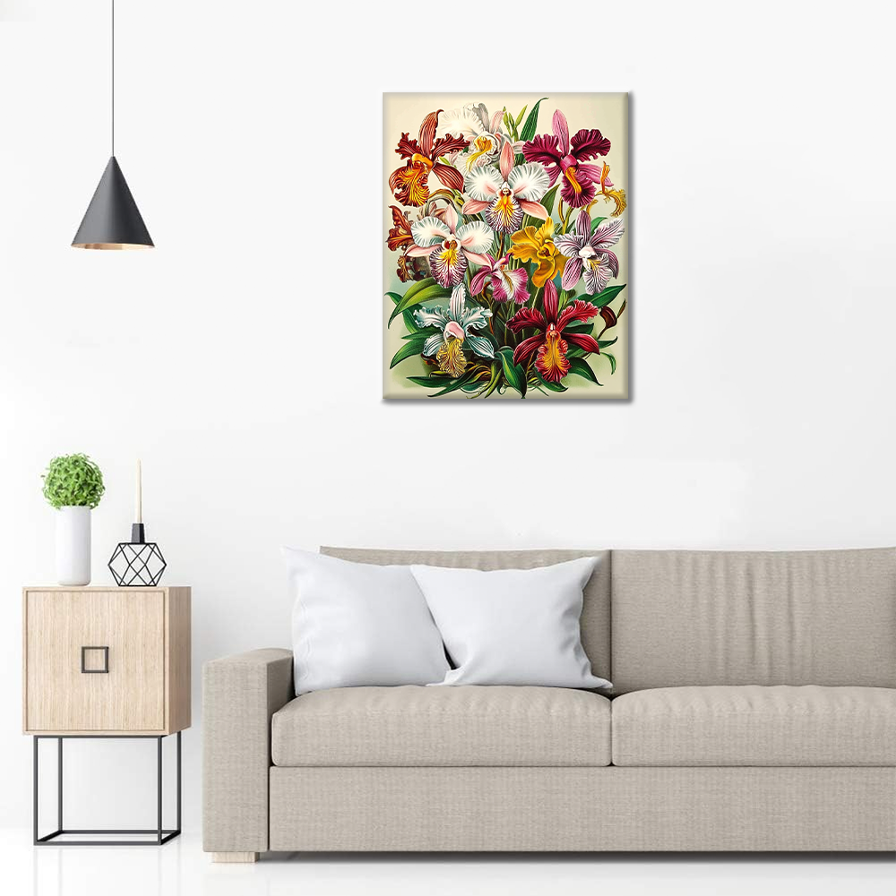 オーキデ・レガリ - 数字で塗り絵