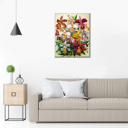 オーキデ・レガリ - 数字で塗り絵