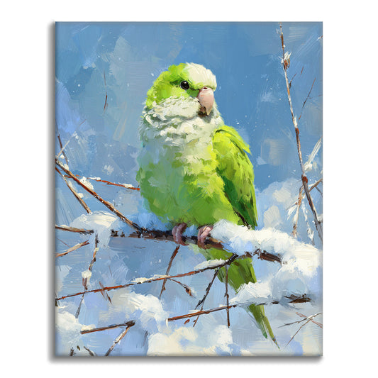 オウム – 数字で塗り絵