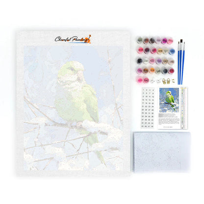 オウム – 数字で塗り絵